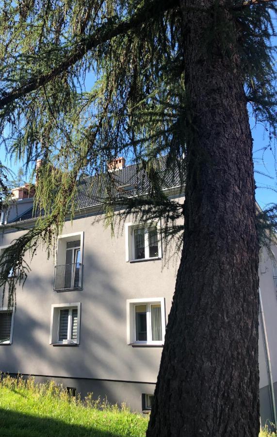 Apartament W Stroniu Stronie Śląskie Dış mekan fotoğraf