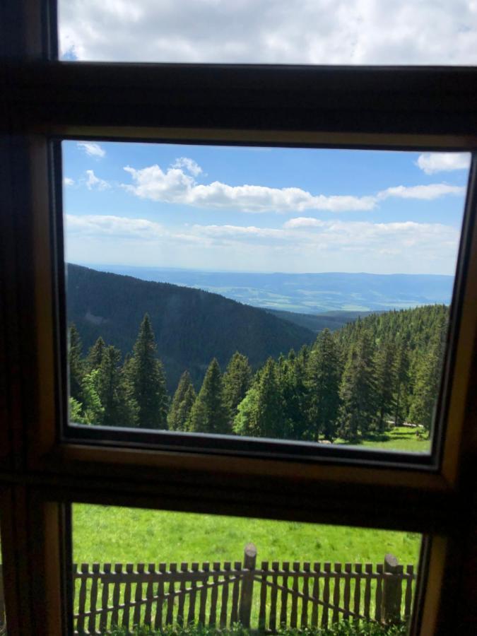 Apartament W Stroniu Stronie Śląskie Dış mekan fotoğraf